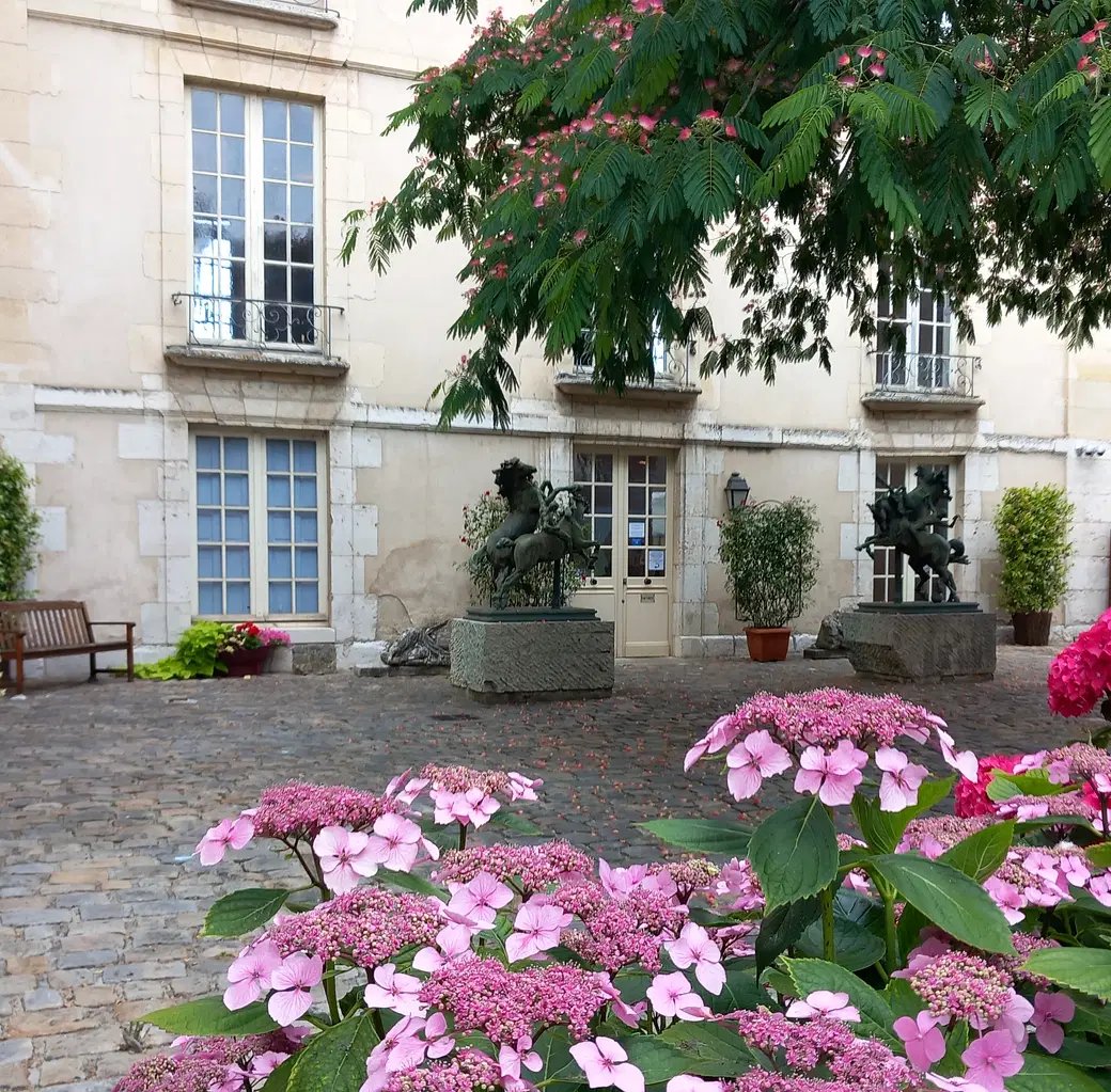 🖼️ 에치고츠마리 사토야마 현대미술관 MonET(에치고츠마리 사토야마 겐다이비쥬츠칸 모네) 이미지 6